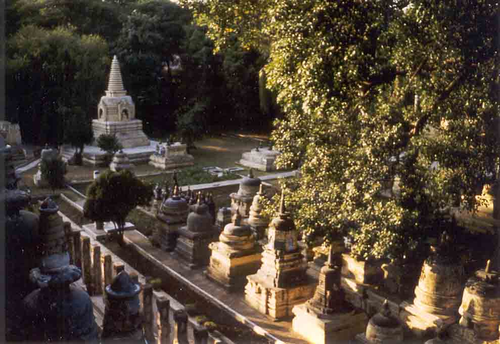 stoepas rond Maha Bodhi tempel